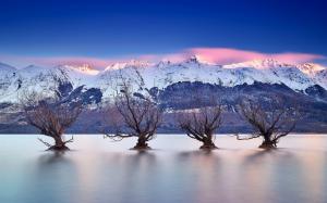 Lake Wakatipu, Queenstown, New Zealand, Southern Alps, trees wallpaper thumb