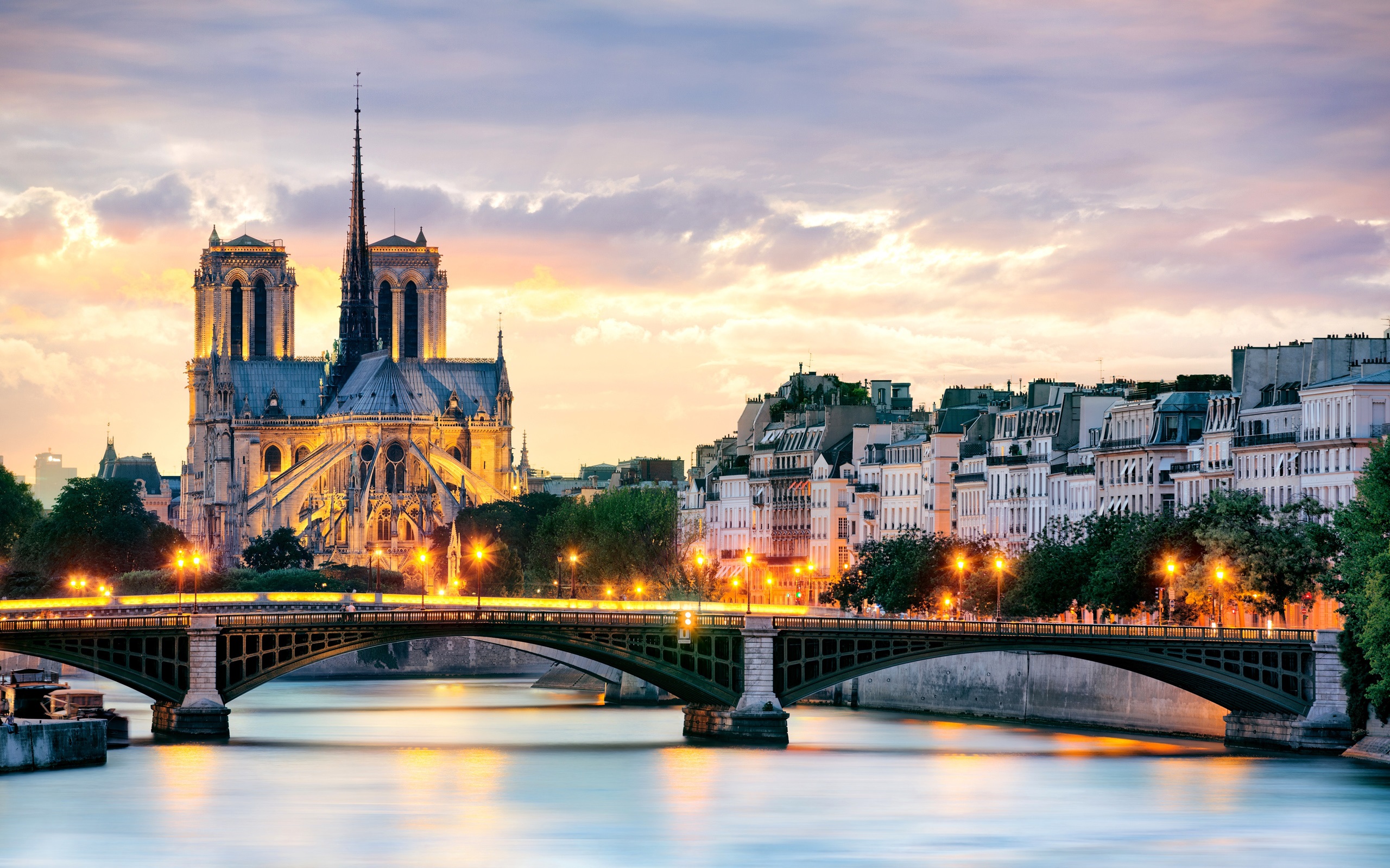 Paris, France, Notre Dame de Paris, lighting, bridge, Seine river ...