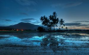 Malaysia evening landscape, lights, palm trees, sunset, sky, clouds, water, blue style wallpaper thumb