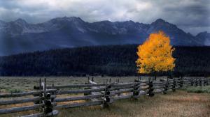Fence For Beautiful Nature wallpaper thumb