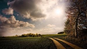 Nature, green fields, path, trees, sunshine, clouds wallpaper thumb