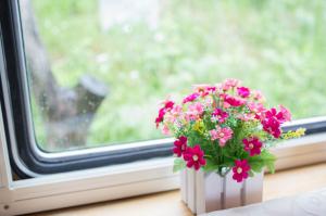 Flowers on window wallpaper thumb