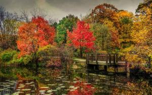 Park, river, bridge, autumn, trees, yellow, red wallpaper thumb
