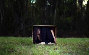 Woman, Box, Hide, Grass, Nature wallpaper thumb