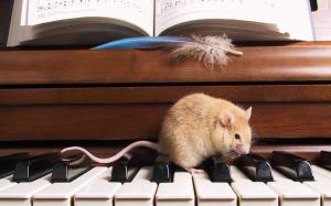 Musician Mouse wallpaper thumb