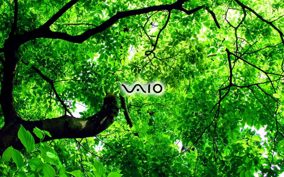 Sony Vaio green wallpaper,sony vaio HD wallpaper,1920x1200 wallpaper