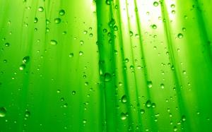 Green Waterdrops  Free Background Desktop Images wallpaper thumb