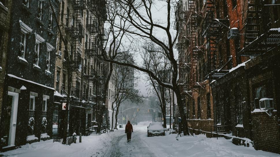 Snowy Day In New York wallpaper,Winter HD wallpaper,3840x2160 wallpaper