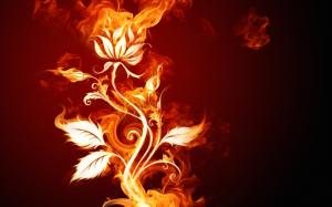 Burning Flower wallpaper thumb