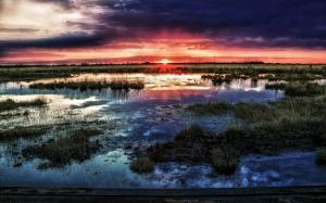 Swamp, horizon, sun, sunset, clouds, water, dusk wallpaper thumb