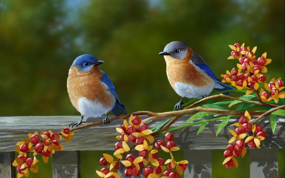 Beautiful Pair Of Colorful Birds wallpaper | nature and landscape |  Wallpaper Better