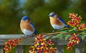 Beautiful Pair Of Colorful Birds wallpaper thumb