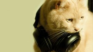 Cat with Headphones HD wallpaper thumb
