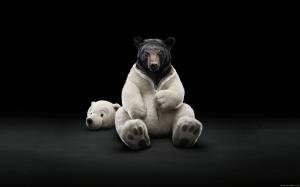 Black bear in Polar bear costume wallpaper thumb