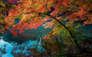 River, water reflection, trees, red color leaves wallpaper thumb