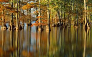 Autumn, trees, river, water reflection wallpaper thumb