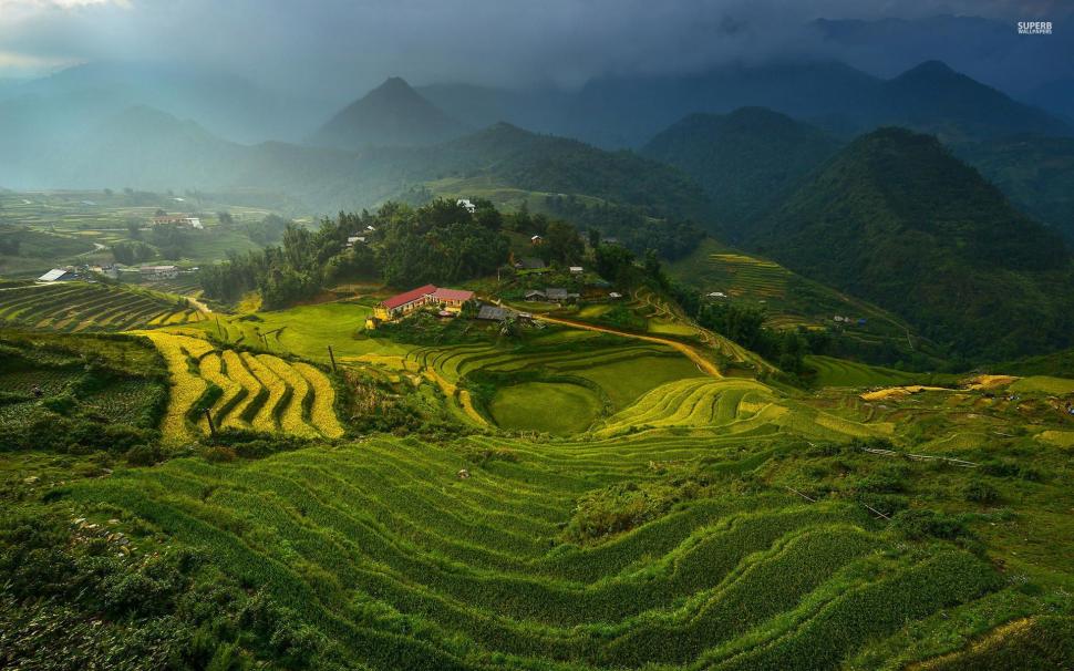 Rice Terraces in Vietnam wallpaper,Scenery HD wallpaper,1920x1200 wallpaper