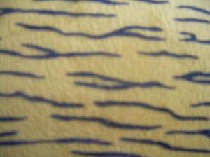 Tiger Stripes wallpaper thumb