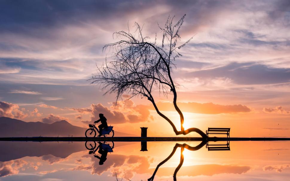 Sunset, tree, woman, bicycle, silhouette, water reflection wallpaper,Sunset HD wallpaper,Tree HD wallpaper,Woman HD wallpaper,Bicycle HD wallpaper,Silhouette HD wallpaper,Water HD wallpaper,Reflection HD wallpaper,1920x1200 wallpaper