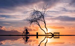 Sunset, tree, woman, bicycle, silhouette, water reflection wallpaper thumb