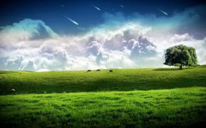 Meteor across the sky, green grass wallpaper thumb