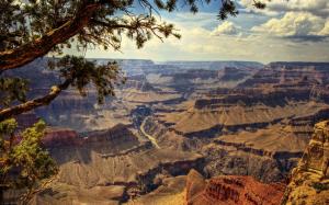 Grand Canyon Canyon Landscape Desert Tree HD wallpaper thumb