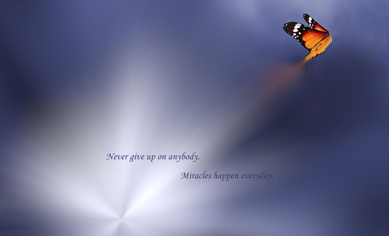 Never give up wallpaper | other | Wallpaper Better