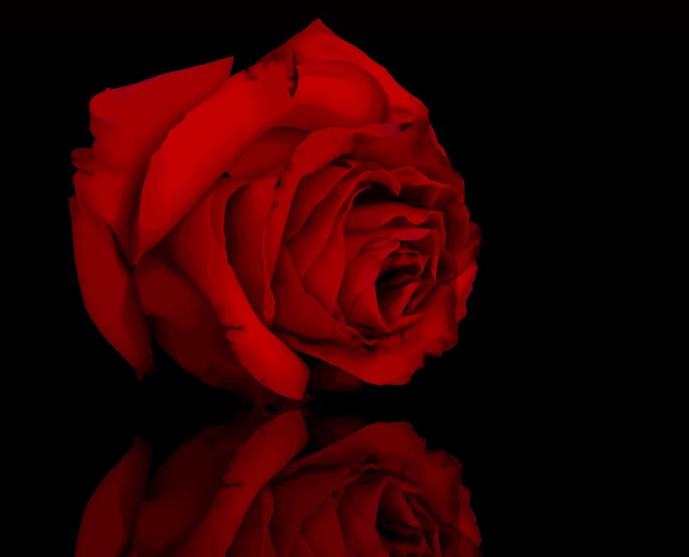 Red Rose Seduction wallpaper,reflection HD wallpaper,nature HD wallpaper,rose HD wallpaper,flowers HD wallpaper,3d & abstract HD wallpaper,1945x1574 wallpaper
