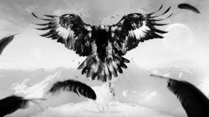 Eagle Hare Art Bird Feathers Mountains High Resolution Pictures wallpaper thumb