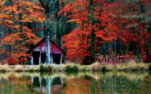 Nature, Landscape, Hut, Forest, Lake, Fall, Shrubs, Leaves wallpaper thumb