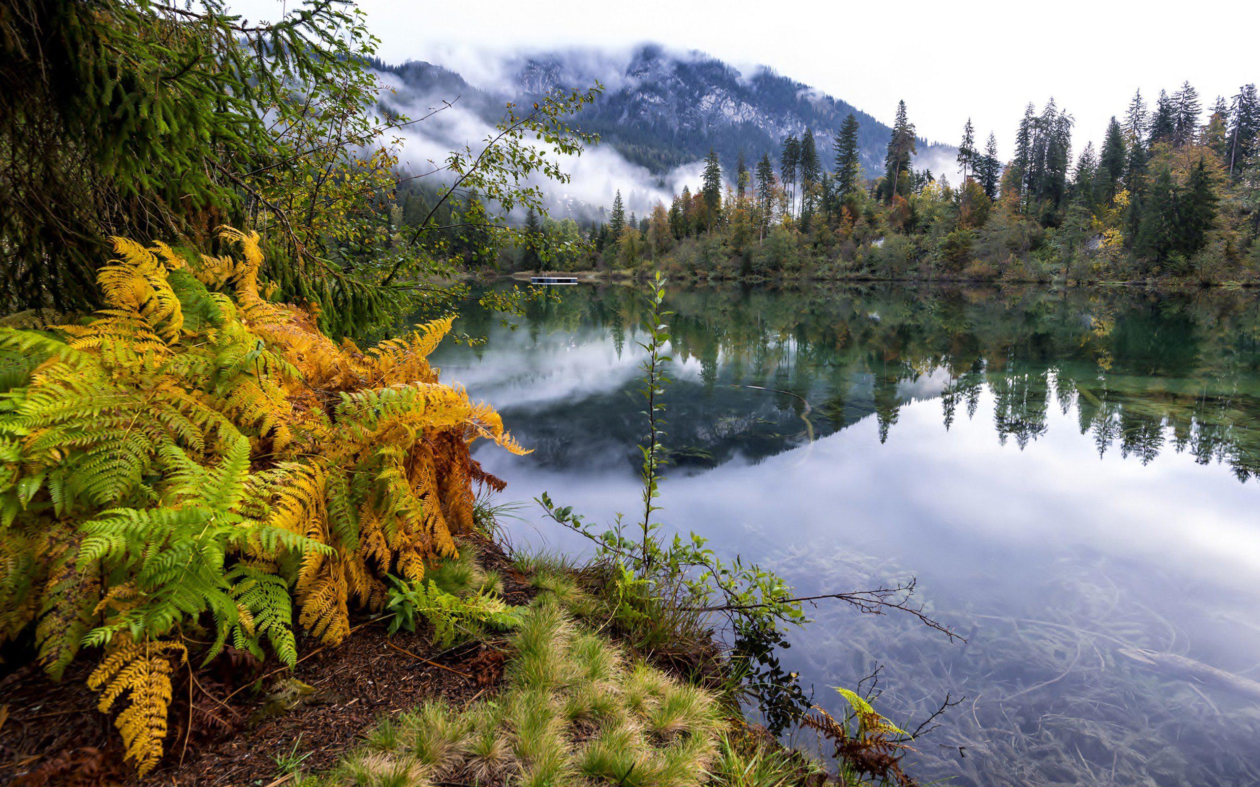 Nature Mountain Forest Landscape Fog Lake Ultrahd 4k HD Widescreen wallpaper  | nature and landscape | Wallpaper Better