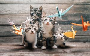 Four kittens, whiskers, looking, paper birds, origami wallpaper thumb