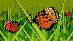 Butterfly On Grass wallpaper thumb