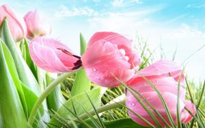 Spring, pink flowers, grass, tulips wallpaper thumb