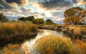 Autumn scenery, nature, yellow grass, river, trees, clouds wallpaper thumb