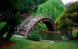 Park, trees, wood arch bridge, water, grass wallpaper thumb