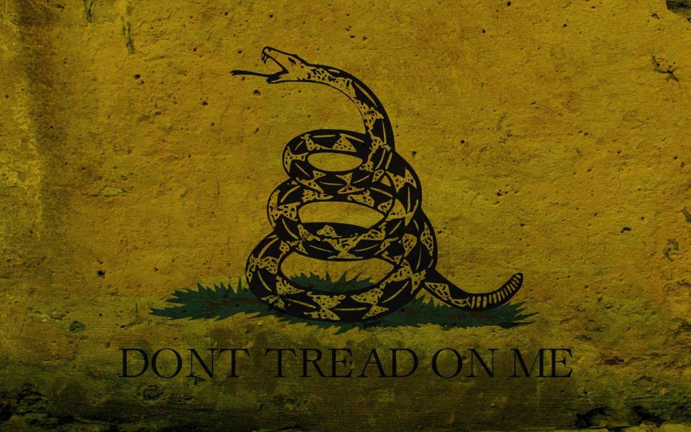 Dont Tread On Me wallpaper,abstract HD wallpaper,cool HD wallpaper,nice HD wallpaper,awesome HD wallpaper,snake HD wallpaper,3d & abstract HD wallpaper,2560x1600 wallpaper