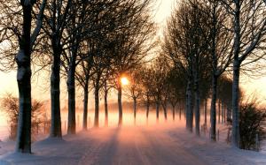 Nature winter, road, trees, light, sunset wallpaper thumb