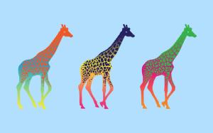 Giraffe Blue Colorful HD wallpaper thumb