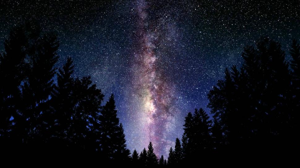 Digital Art, Space, Forest, Forest Clearing, Stars wallpaper,digital art HD wallpaper,space HD wallpaper,forest HD wallpaper,forest clearing HD wallpaper,stars HD wallpaper,1920x1080 wallpaper