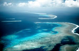Great Barrier Reef High Definition Nature s wallpaper thumb