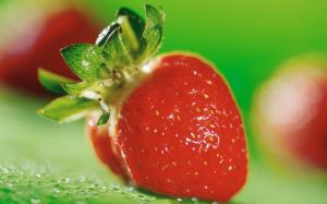 Red strawberry macro wallpaper thumb