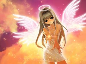 Angel Wings Anime Halo HD wallpaper thumb