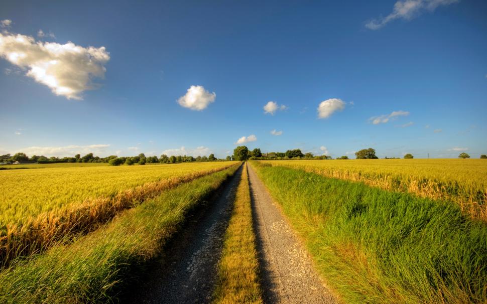 Footpath, road, sunny day, fields, clouds, summer wallpaper,Footpath HD wallpaper,Road HD wallpaper,Sunny HD wallpaper,Day HD wallpaper,Fields HD wallpaper,Clouds HD wallpaper,Summer HD wallpaper,1920x1200 wallpaper