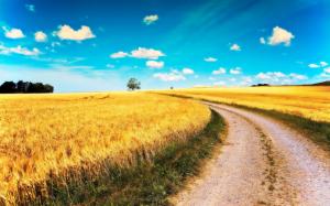 Yellow wheat fields, road, blue sky, clouds wallpaper thumb