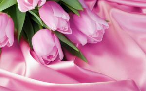 Bunch pink tulips hd wallpaper thumb