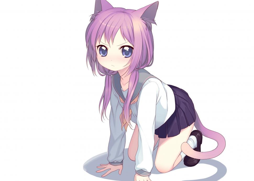 Cat Girls, Anime Girls, Nekomimi, Big Eyes, Look, Anime wallpaper,cat girls HD wallpaper,anime girls HD wallpaper,nekomimi HD wallpaper,big eyes HD wallpaper,look HD wallpaper,anime HD wallpaper,3500x2500 wallpaper