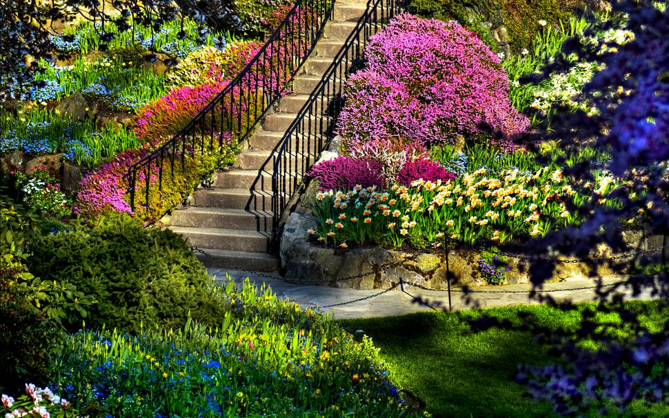 Awesome Flower Garden Free  Background For Computer wallpaper,flower HD wallpaper,garden HD wallpaper,park HD wallpaper,rose HD wallpaper,vegetable HD wallpaper,2560x1600 wallpaper