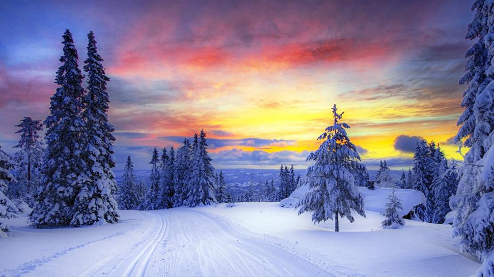 Winter sunset forest wallpaper,snow HD wallpaper,sky HD wallpaper,forest HD wallpaper,trees HD wallpaper,winter HD wallpaper,sunset HD wallpaper,1920x1080 wallpaper