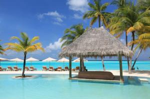palm trees, vacation, sun beds, pool wallpaper thumb